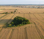 &bdquo;Klaipėdos kra&scaron;to taurė 2014&ldquo; 