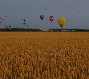 &bdquo;Klaipėdos kra&scaron;to taurė 2014&ldquo; 