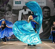 Vilniaus sporto festivalis