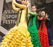 Vilniaus sporto festivalis