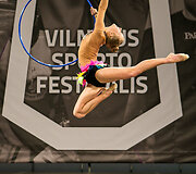 Vilniaus sporto festivalis