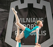 Vilniaus sporto festivalis