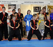 Vilniaus sporto festivalis