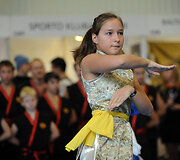 Vilniaus sporto festivalis