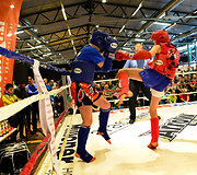 Vilniaus sporto festivalis
