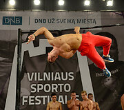 Vilniaus sporto festivalis