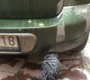 Tado Bulotos automobilis