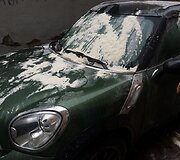 Tado Bulotos automobilis