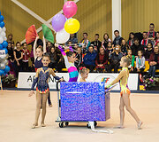 Meninės gimnastikos turnyras