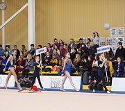 Meninės gimnastikos turnyras
