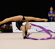 Meninės gimnastikos turnyras