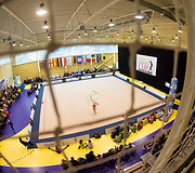 Meninės gimnastikos turnyras