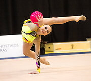 Meninės gimnastikos turnyras