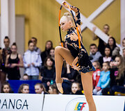 Meninės gimnastikos turnyras