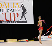 Meninės gimnastikos turnyras