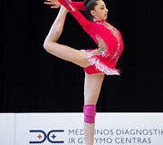 Meninės gimnastikos turnyras
