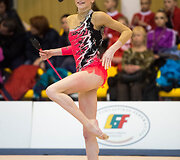Meninės gimnastikos turnyras