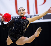 Meninės gimnastikos turnyras