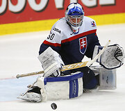 Slovakija &ndash; Slovėnija