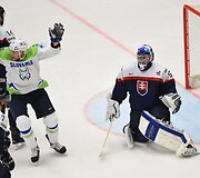 Slovakija &ndash; Slovėnija
