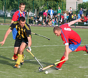 Žolės riedulys