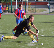 Žolės riedulys