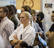 Vilniaus sporto festivalis