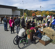 Vilniaus sporto festivalis