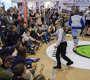Vilniaus sporto festivalis