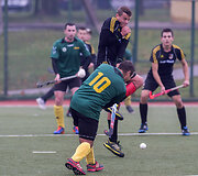 Žolės riedulio rungtynės