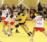 Janio Grinbergo rankinio turnyras