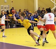 Janio Grinbergo rankinio turnyras