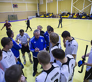 Žolės riedulio rungtynės