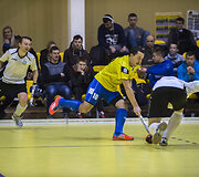 Žolės riedulio rungtynės