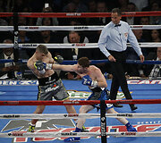Canelo Alvarezas &ndash; Liamas Smithas