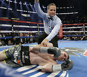 Canelo Alvarezas &ndash; Liamas Smithas