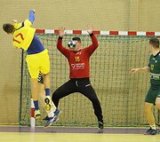 Janio Grinbergo rankinio turnyras