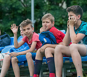 Žolės riedulys