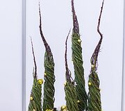 Vilniečiai kviečiami pasigrožėti floristų kūriniais