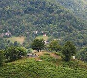 Nodaro &Scaron;erva&scaron;idzės sodyba