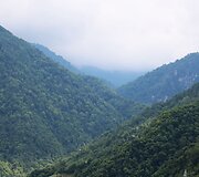 Nodaro &Scaron;erva&scaron;idzės sodyba