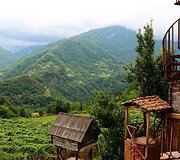 Nodaro &Scaron;erva&scaron;idzės sodyba