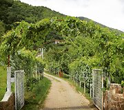 Nodaro &Scaron;erva&scaron;idzės sodyba