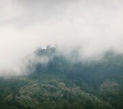 &Scaron;ventosios Trejybės vienuolynas Batumyje