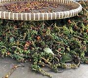 Pipirų ferma &bdquo;La Plantation&ldquo;