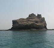 Pakeliui pas delfinus