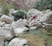 Vadi Al &Scaron;abas