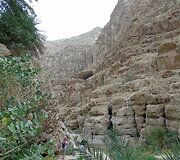 Vadi Al &Scaron;abas