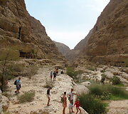 Vadi Al &Scaron;abas