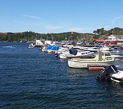 Kelionė Norvegijoje
